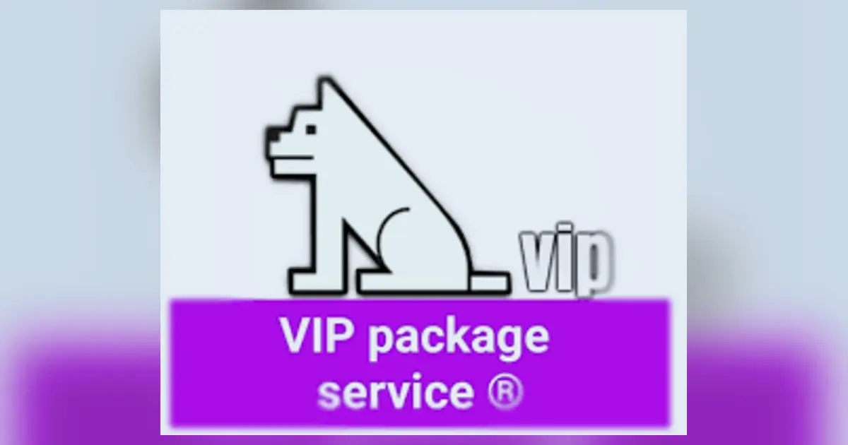Vip package تعرف على الأثمنة بالجملة لخدمة سيرفر فيب