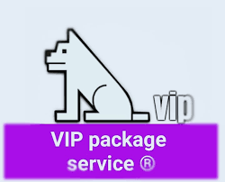 Vip package تعرف على الأثمنة بالجملة لخدمة سيرفر فيب